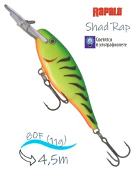 SR08 FT Shad Rap - фото