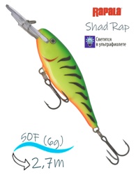 SR05 FT Shad Rap - фото