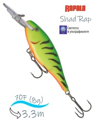SR07 FT Shad Rap - фото