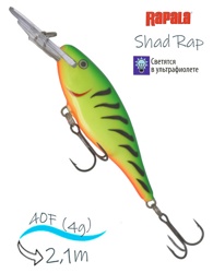 SR04 FT Shad Rap - фото