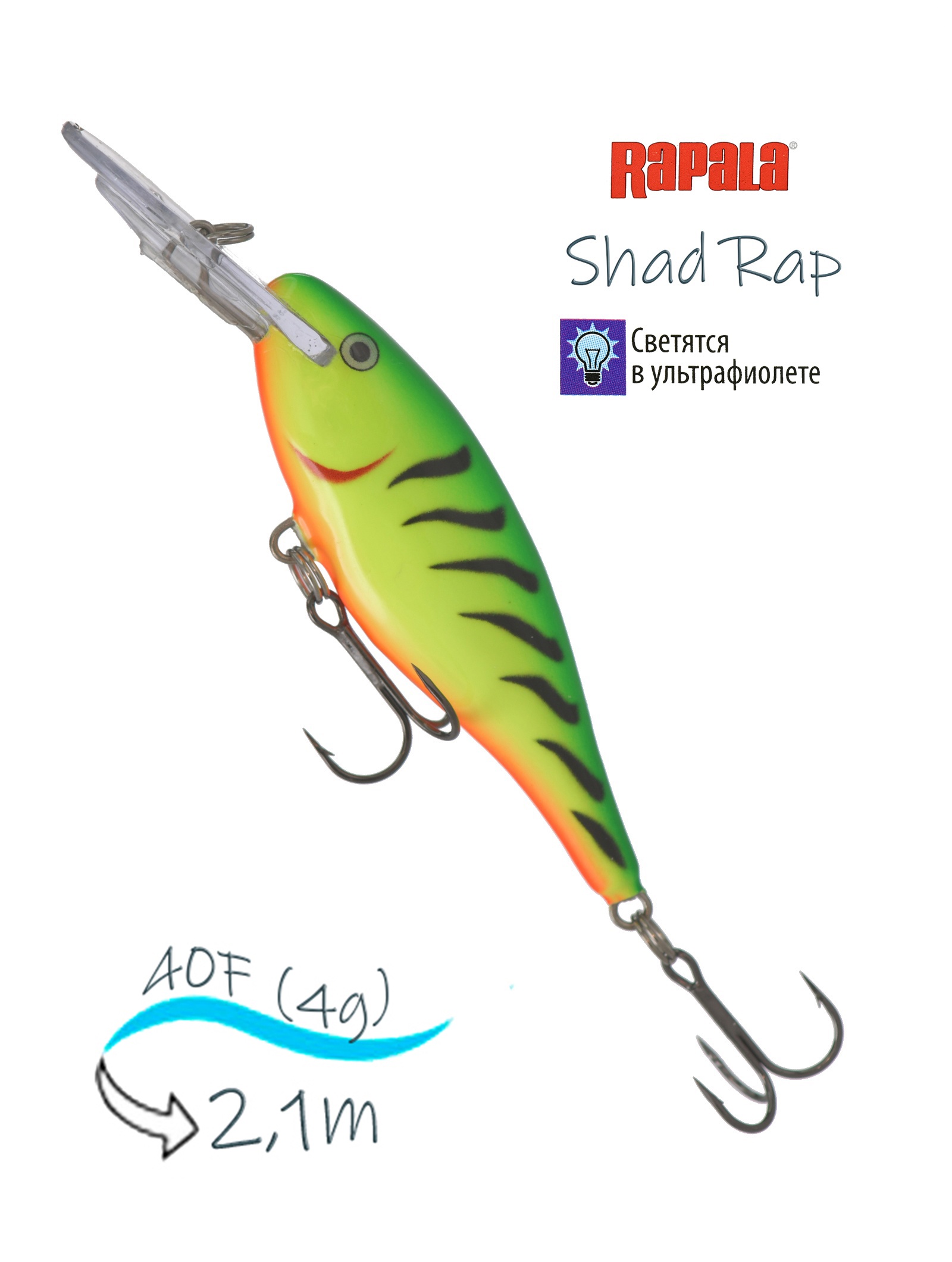 SR04 FT Shad Rap