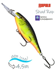 SR08 HS Shad Rap - фото