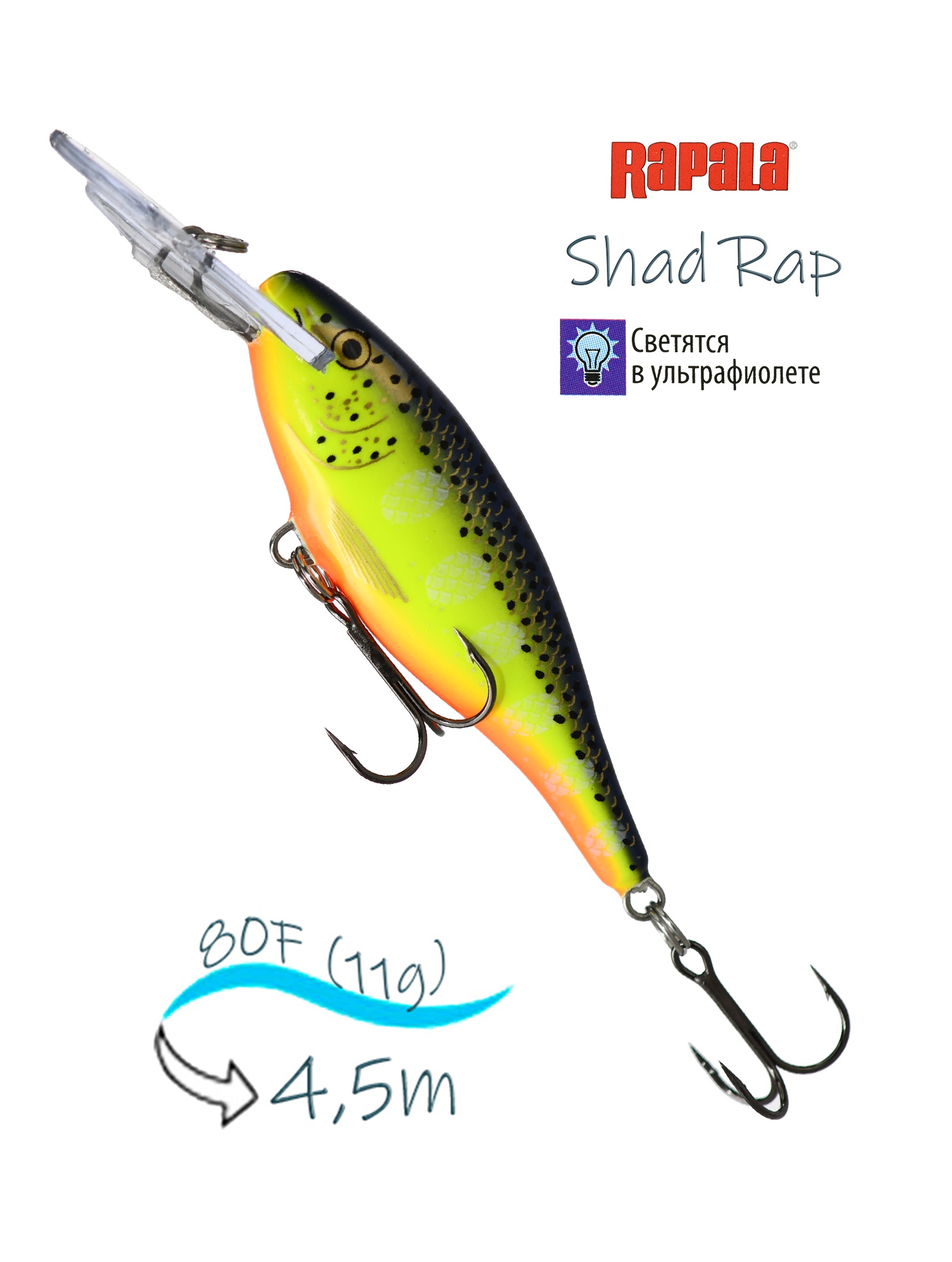 SR08 HS Shad Rap