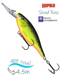 SR09 HS Shad Rap - фото