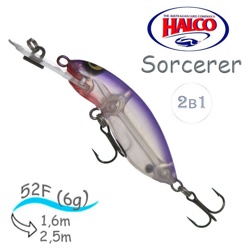 Sorcerer  52 DD-R34 - фото