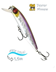 Dexter Minnow 93 SP-SR-A30 - фото