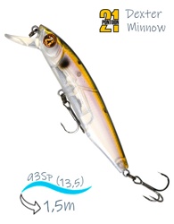 Dexter Minnow 93 SP-SR-081 - фото