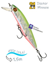 Dexter Minnow 93 SP-SR-A62 - фото