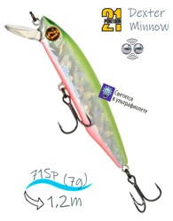 Dexter Minnow 71 SP-SR-A62 - фото