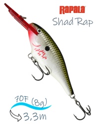 SR07 BOF Shad Rap - фото
