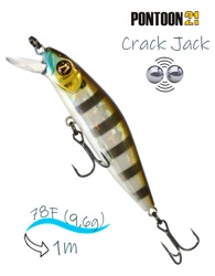 Crack Jack 78 F-SR-007 - фото