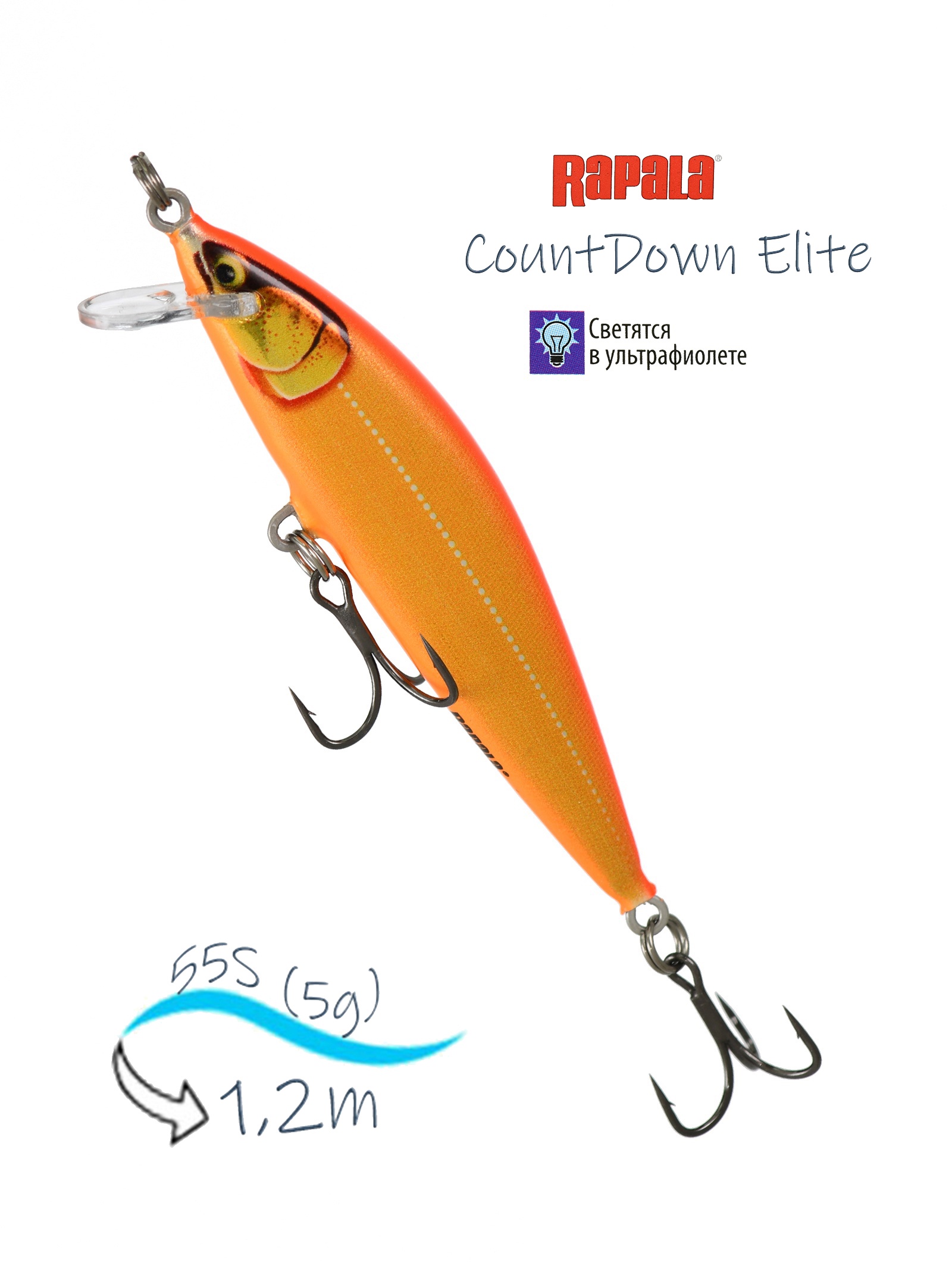 CDE55-GDGO CountDown Elite - фото