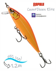CDE55-GDGO CountDown Elite - фото