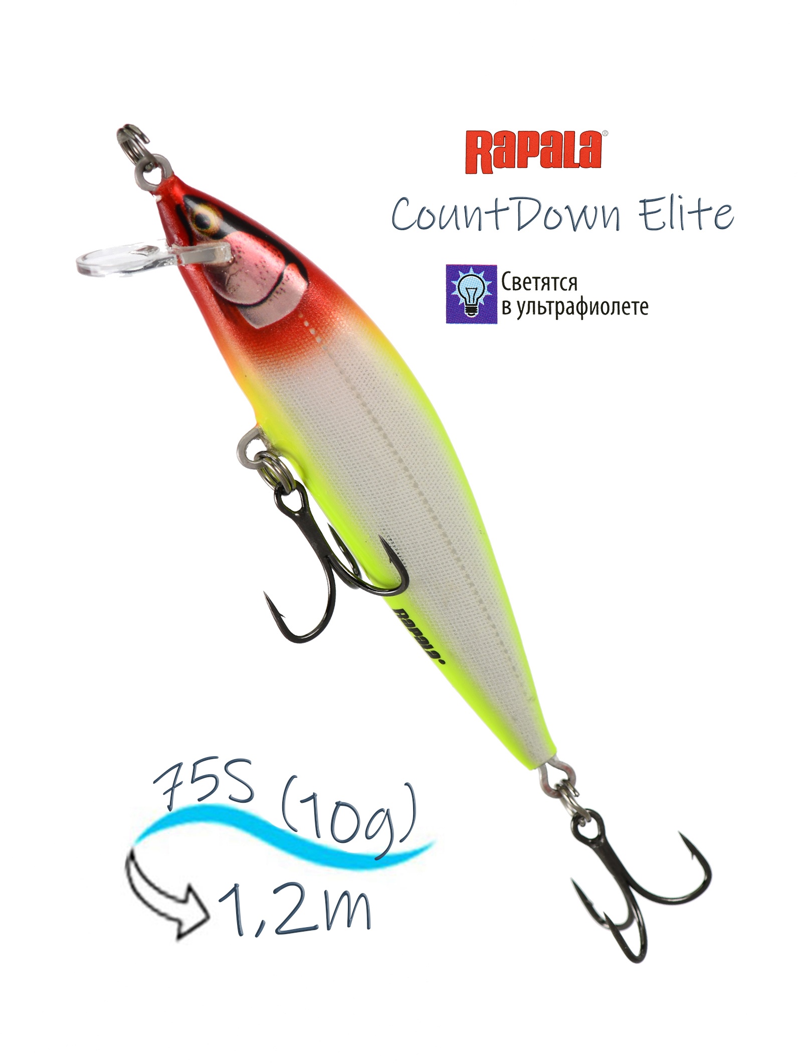 CDE75-GDCL CountDown Elite