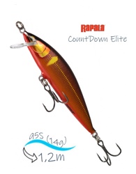 CDE95-GDGA CountDown Elite - фото