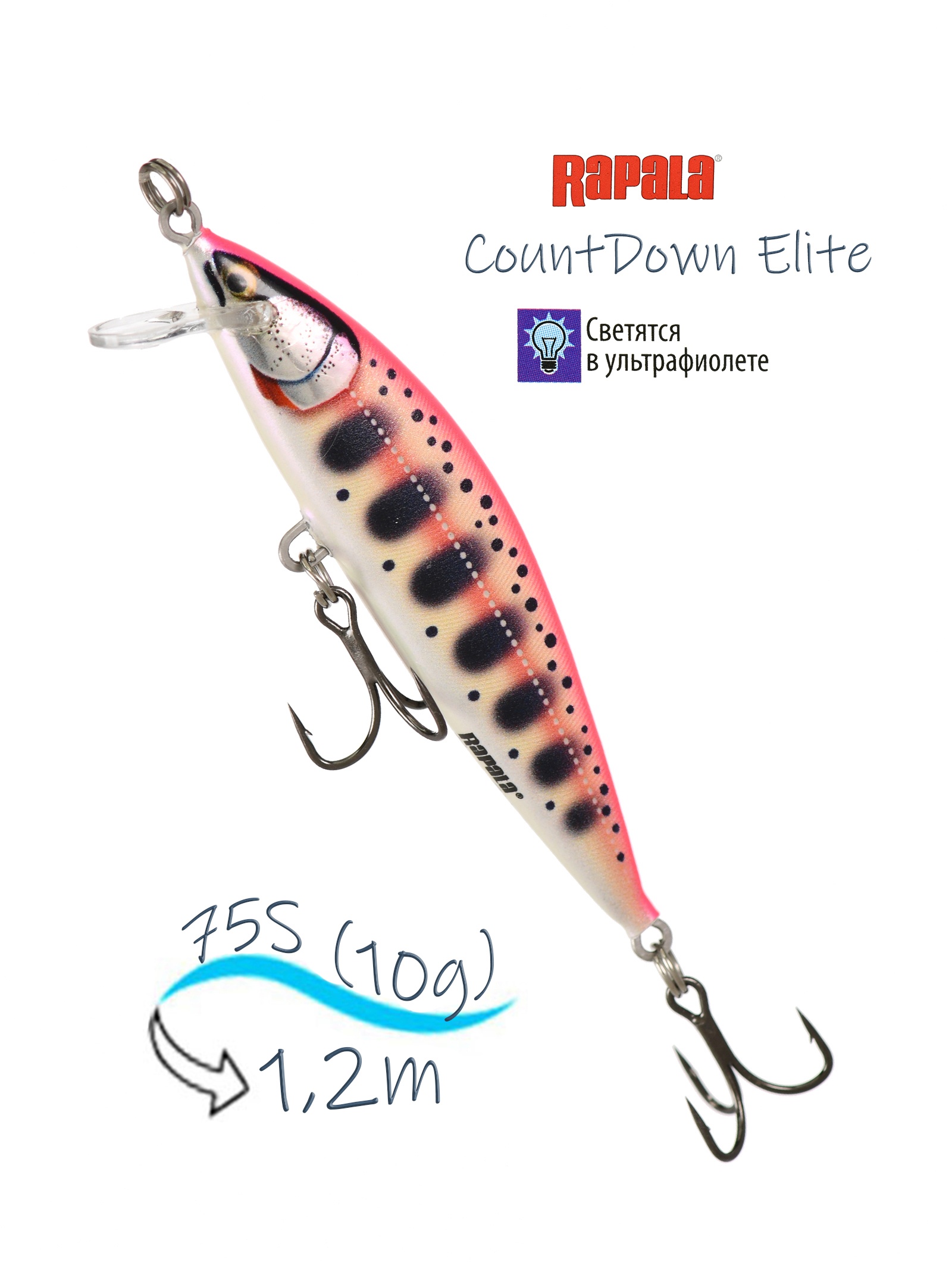 CDE75-GDPY CountDown Elite