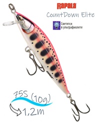 CDE75-GDPY CountDown Elite - фото