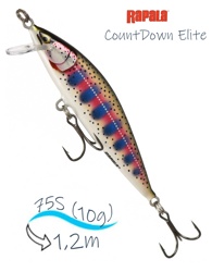 CDE75-GDPRT CountDown Elite - фото