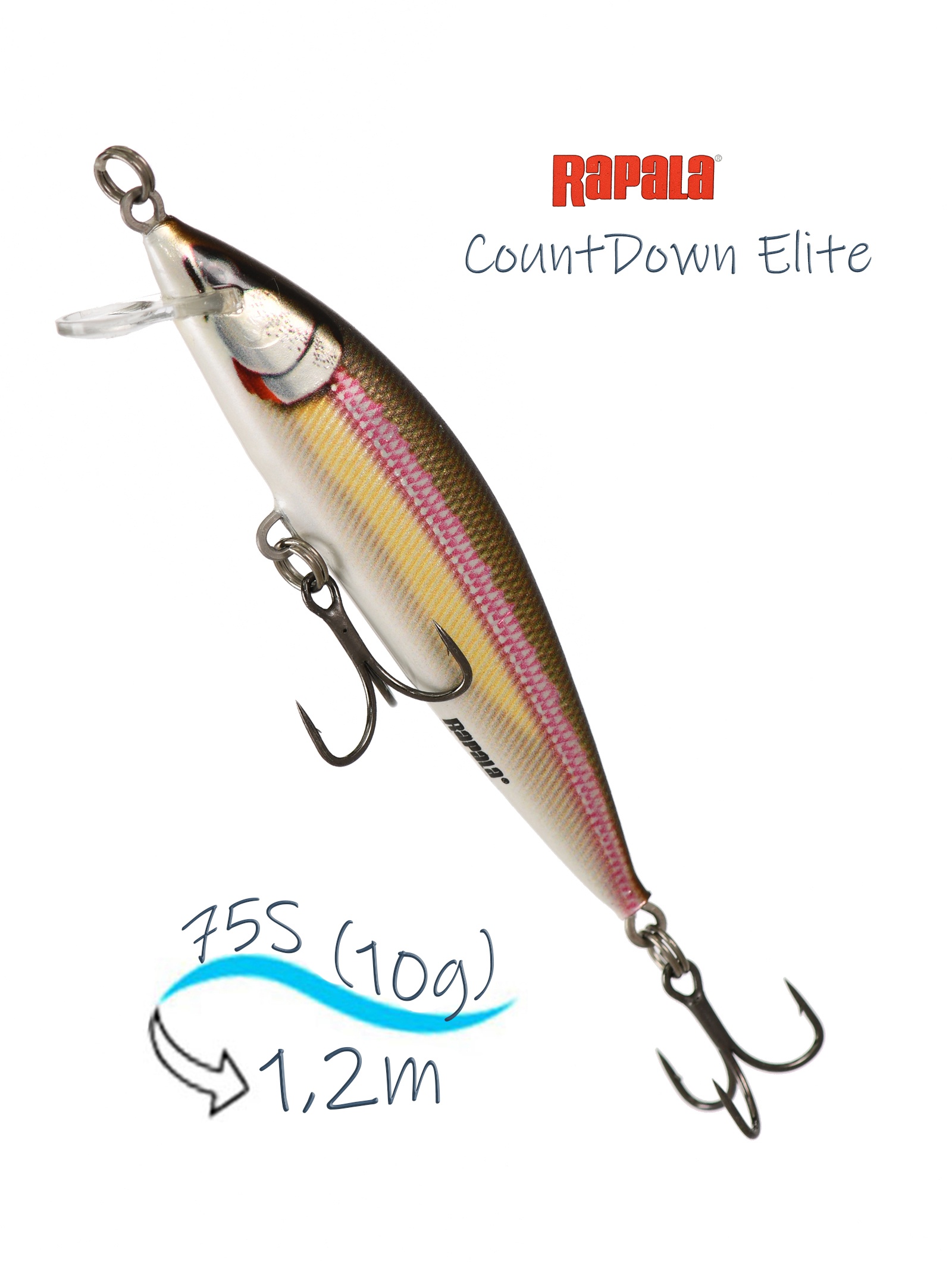 CDE75-GDWK CountDown Elite
