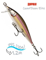 CDE75-GDWK CountDown Elite - фото