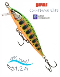 CDE95-GDCY CountDown Elite - фото