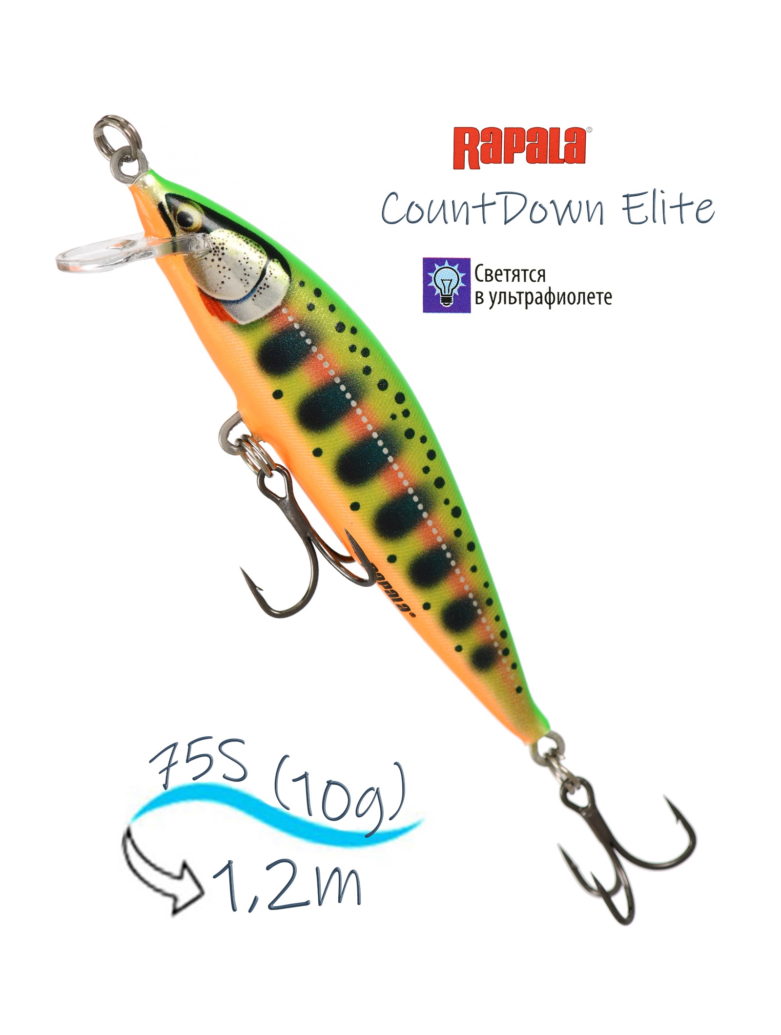 CDE75-GDCY CountDown Elite