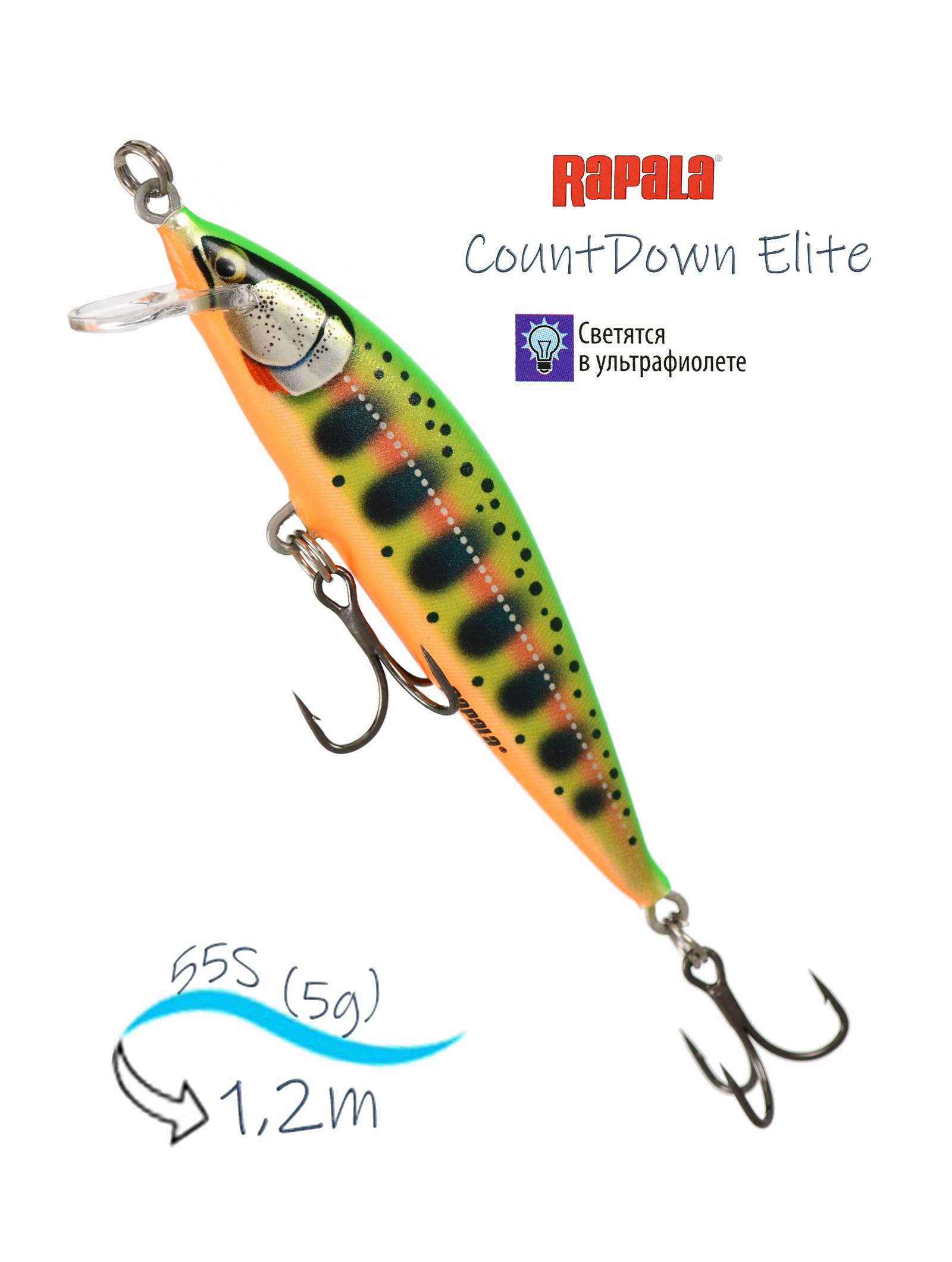 CDE55-GDCY CountDown Elite - фото