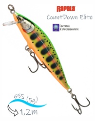 CDE55-GDCY CountDown Elite - фото