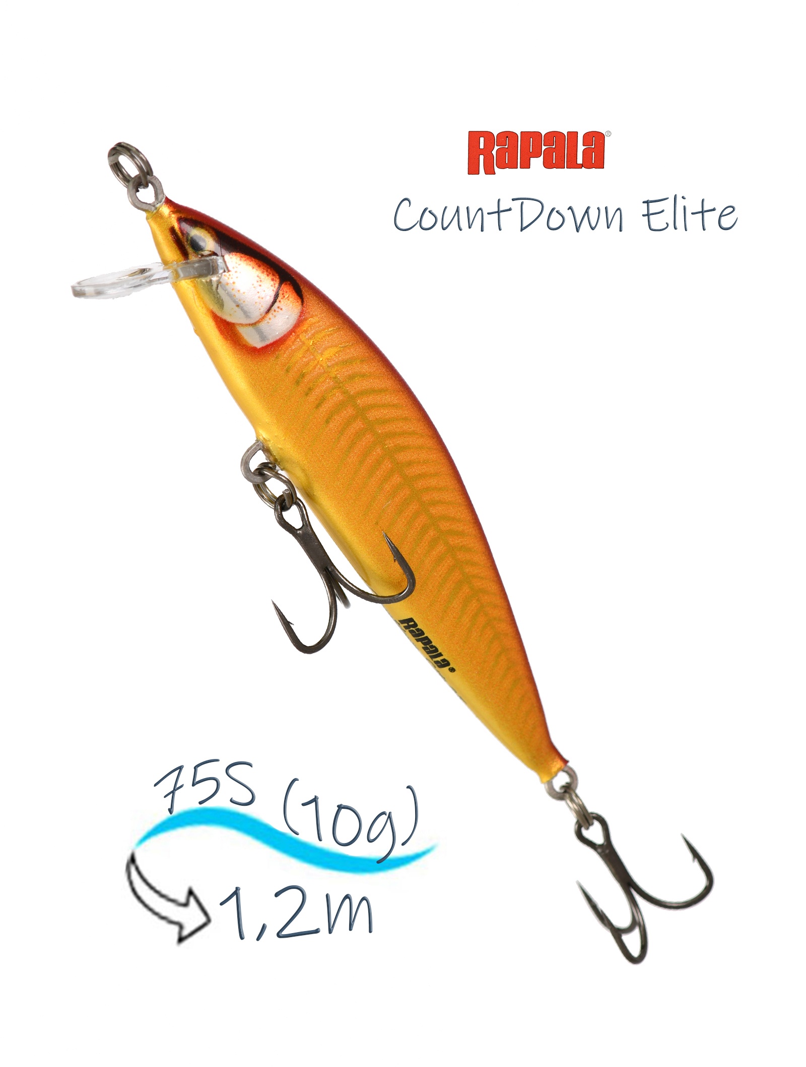 CDE75-GDGR CountDown Elite