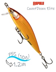 CDE75-GDGR CountDown Elite - фото