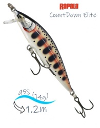 CDE95-GDYM CountDown Elite - фото