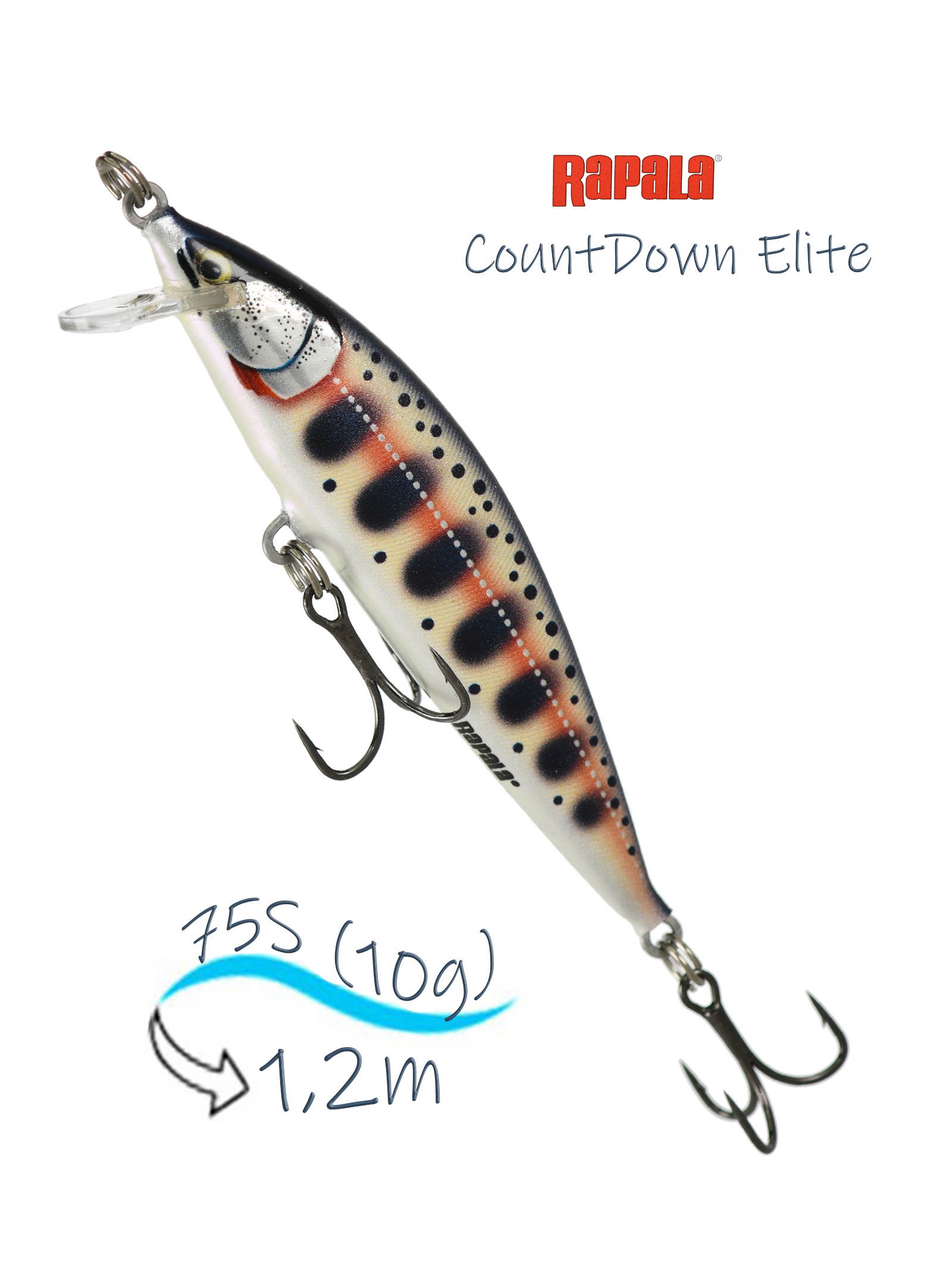 CDE75-GDYM CountDown Elite