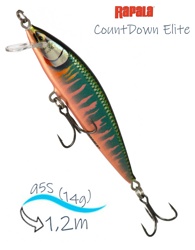 CDE95-GDOK CountDown Elite - фото