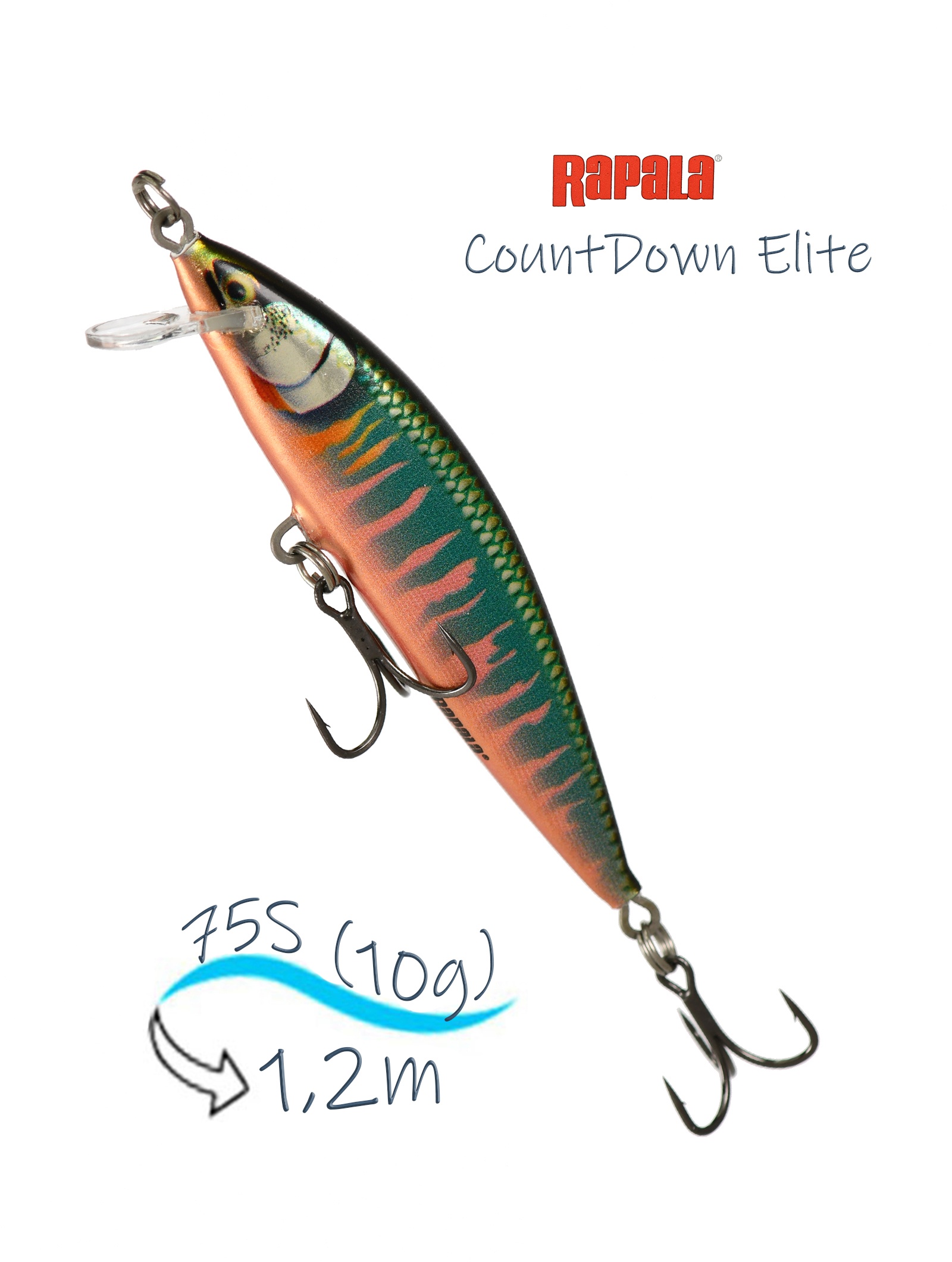 CDE75-GDOK CountDown Elite