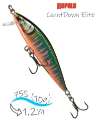 CDE75-GDOK CountDown Elite - фото