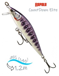 CDE95-GDIW CountDown Elite - фото