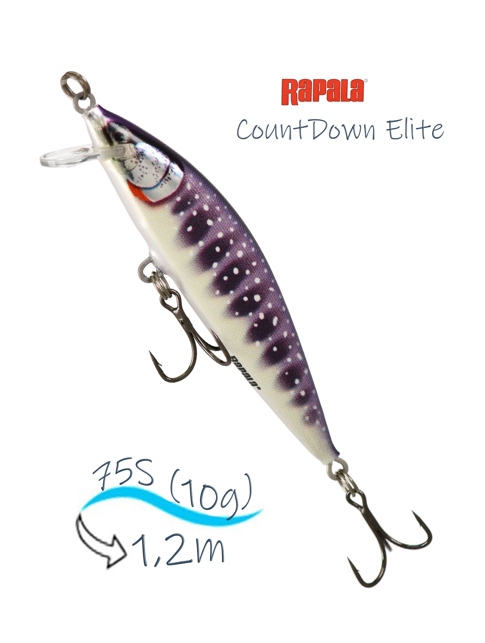 CDE75-GDIW CountDown Elite