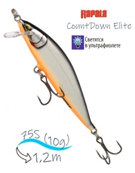 CDE75 GDSS CountDown Elite - фото