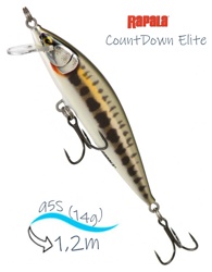 CDE95-GDMN CountDown Elite - фото