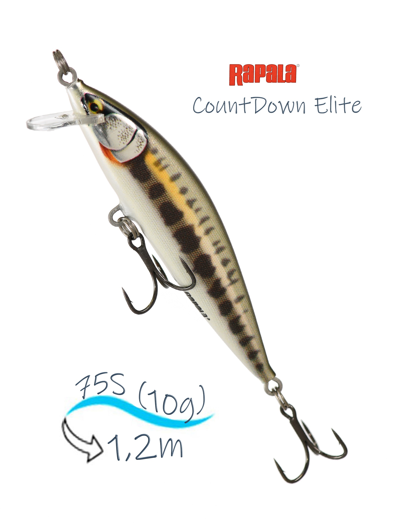 CDE75-GDMN CountDown Elite