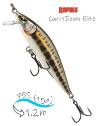 CDE75-GDMN CountDown Elite - фото