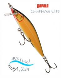 CDE95-GDGS CountDown Elite - фото