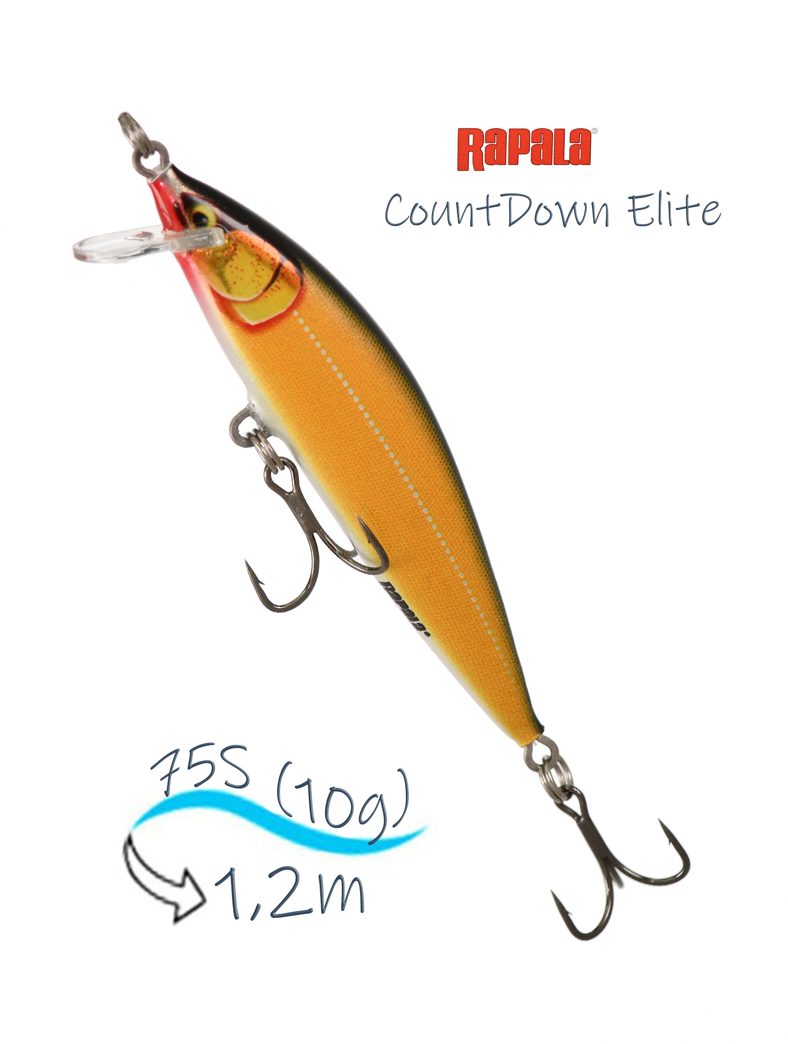 CDE75-GDGS CountDown Elite