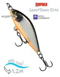 CDE55 GDSS CountDown Elite - фото