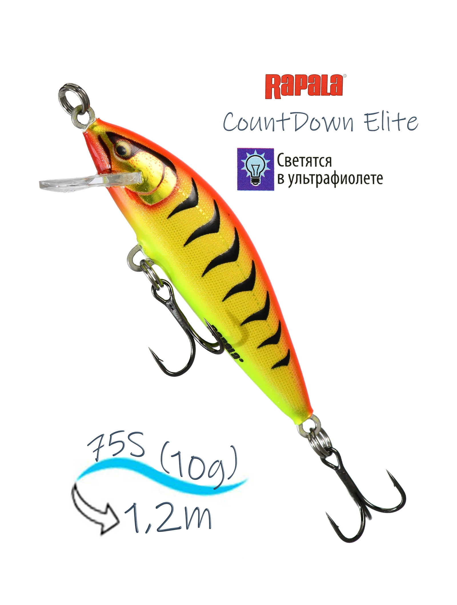 CDE75-GDHT CountDown Elite