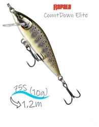 CDE75-GDBT CountDown Elite - фото