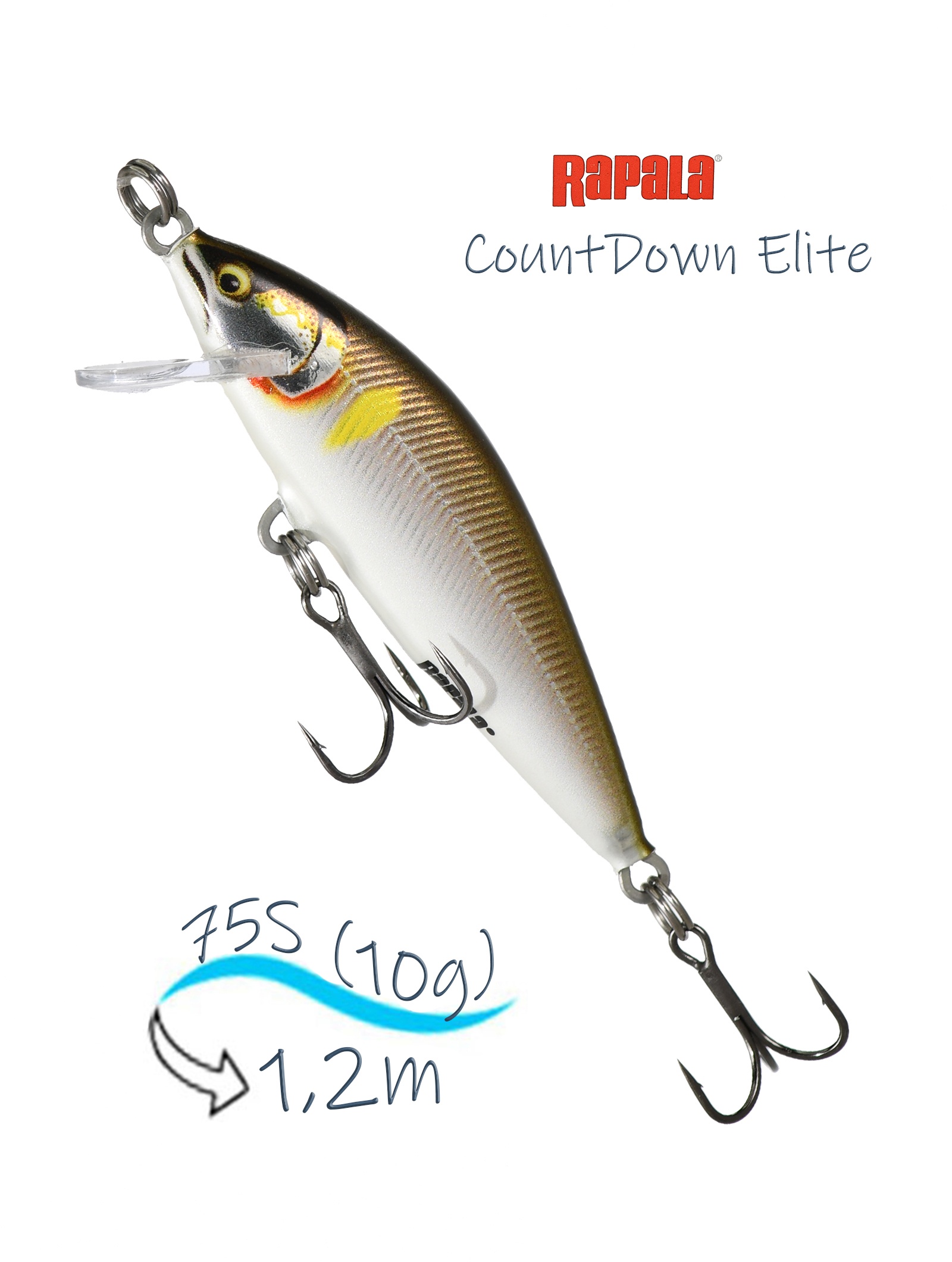 CDE75-GDAY CountDown Elite