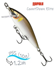 CDE75-GDAY CountDown Elite - фото