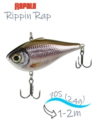 RPR07 SML Rippin Rap - фото