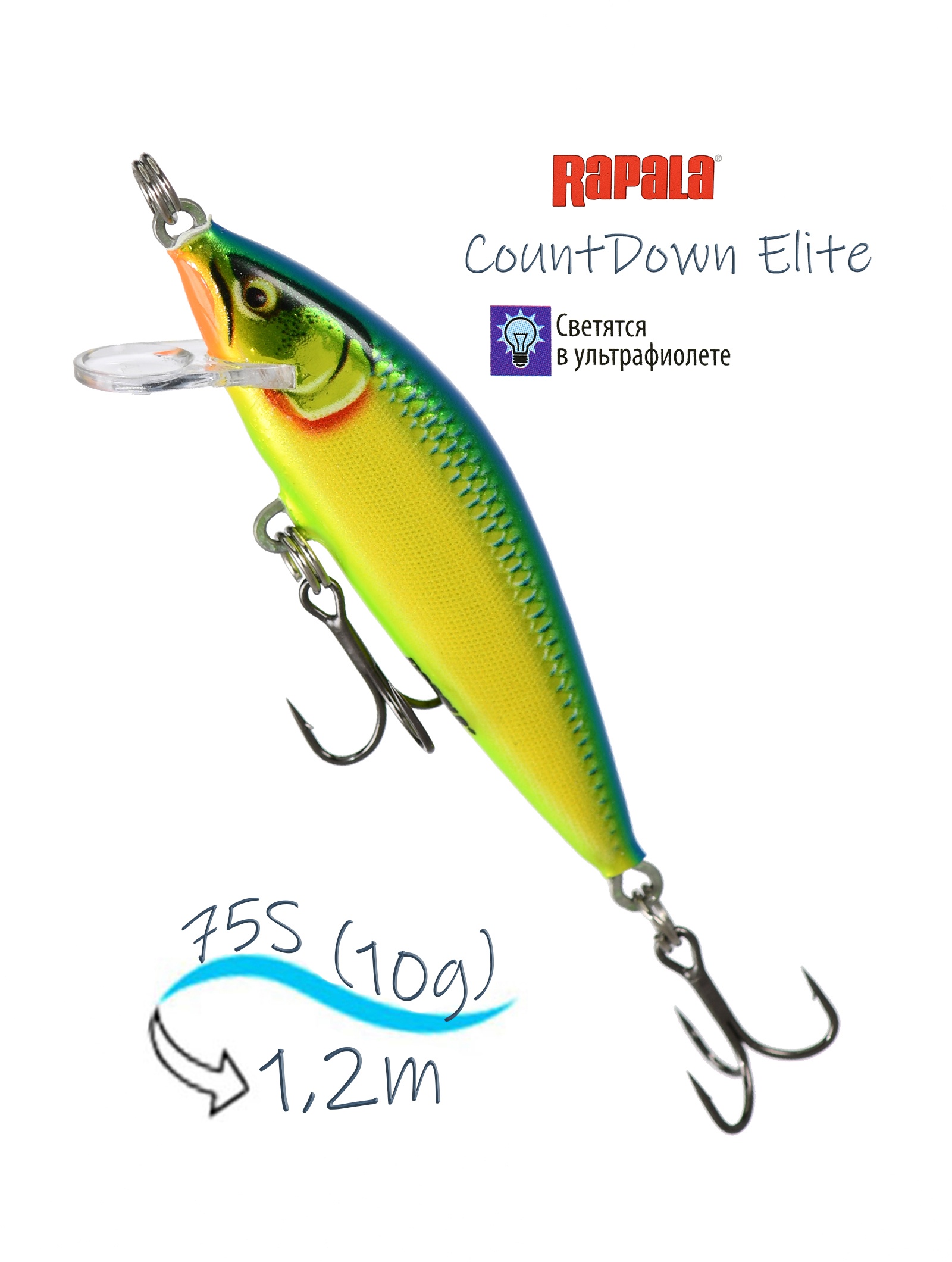 CDE75 GDPRT CountDown Elite